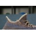 Кроссовки Adidas Yeezy BOOST 350 V2-13 купить в Израиле